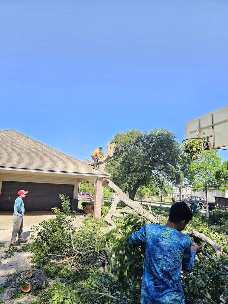 J Tree Service team